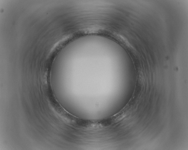 X0000076060543200610152205