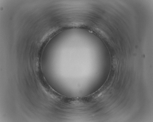 X0000076060544200610152205