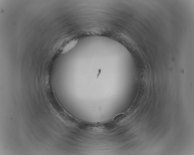 X0000076060548200610152205