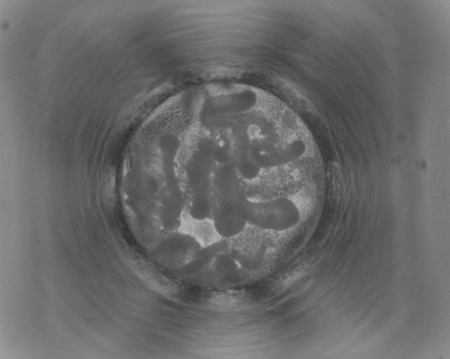 X0000076060550200610152205