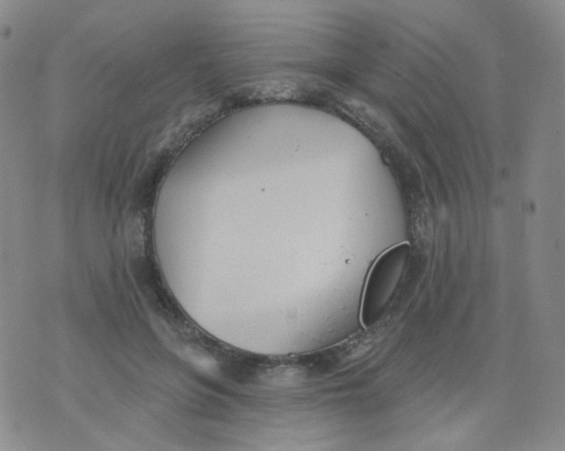 X0000076060551200610152205