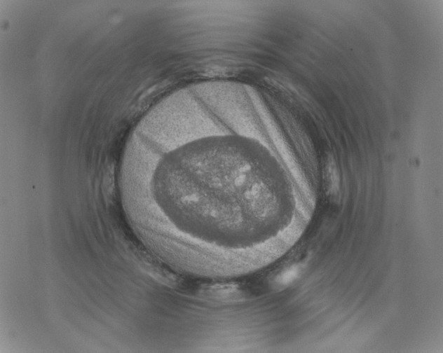 X0000076060554200610152205