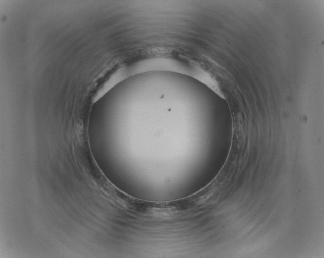 X0000076060556200610152205