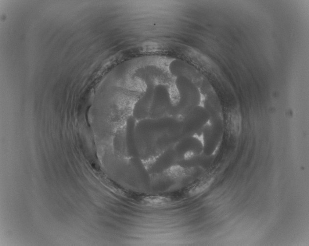 X0000076060557200610152205