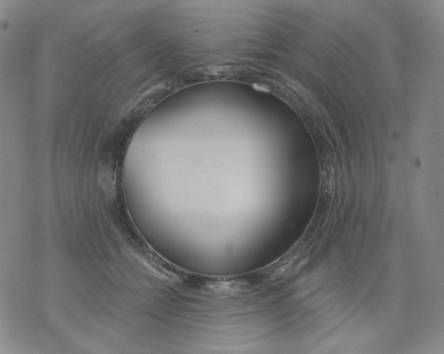 X0000076060558200610152205