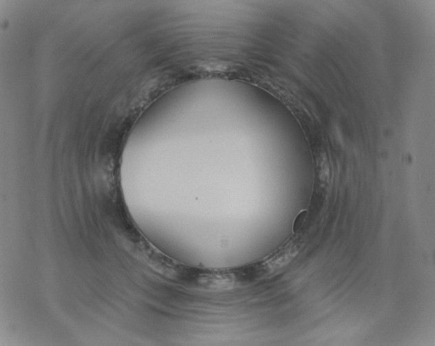 X0000076060559200610152205