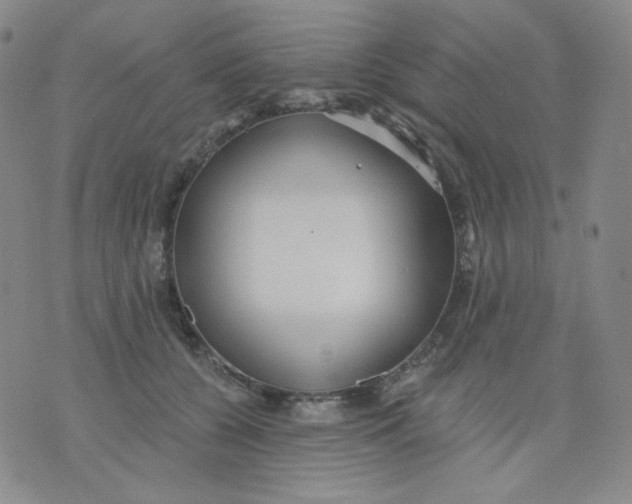 X0000076060560200610152205