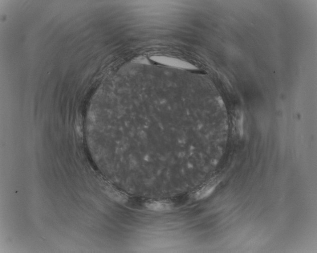 X0000076060561200610152205