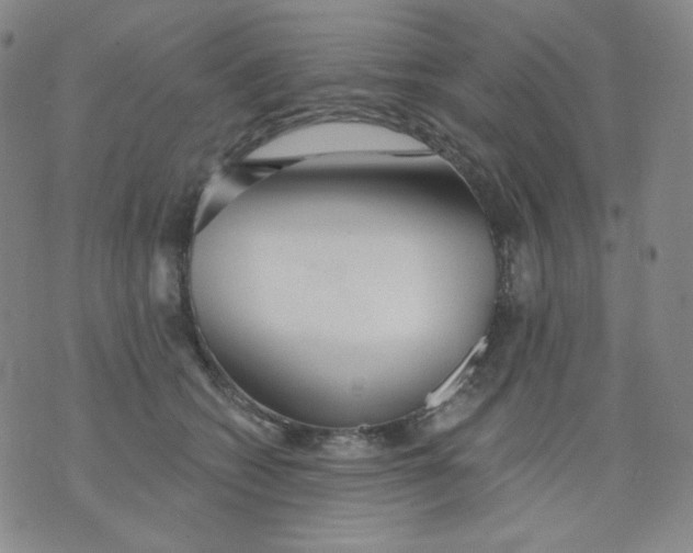 X0000076060562200610152205