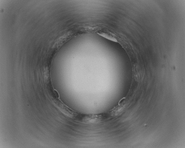 X0000076060563200610152205