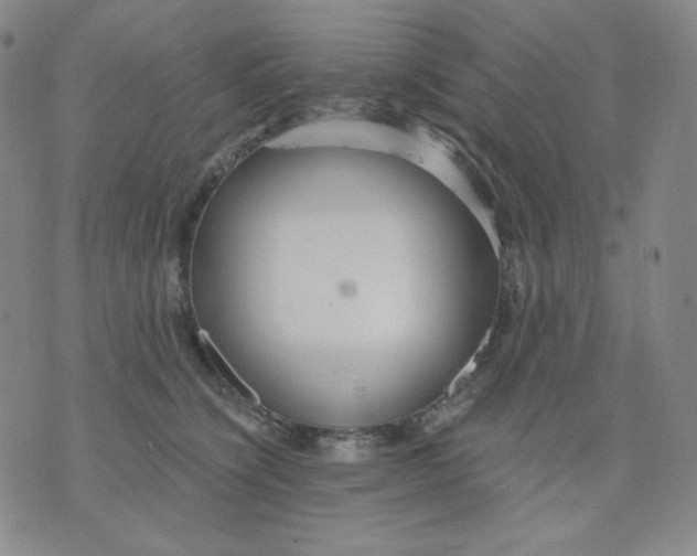 X0000076060564200610152205