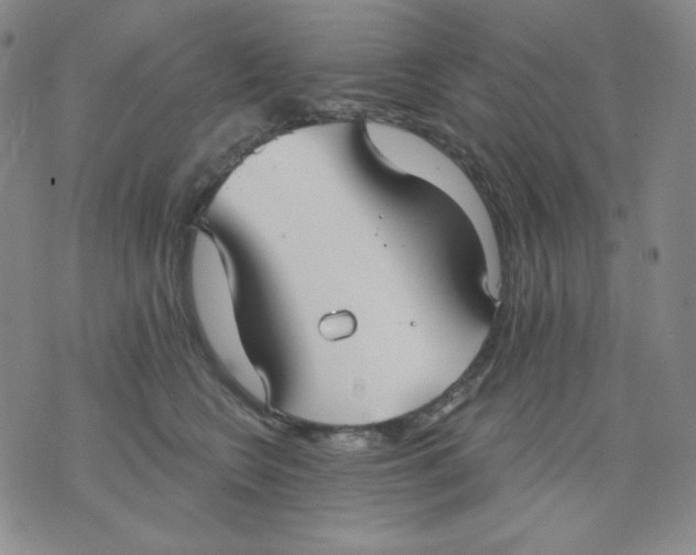 X0000076060566200610152205