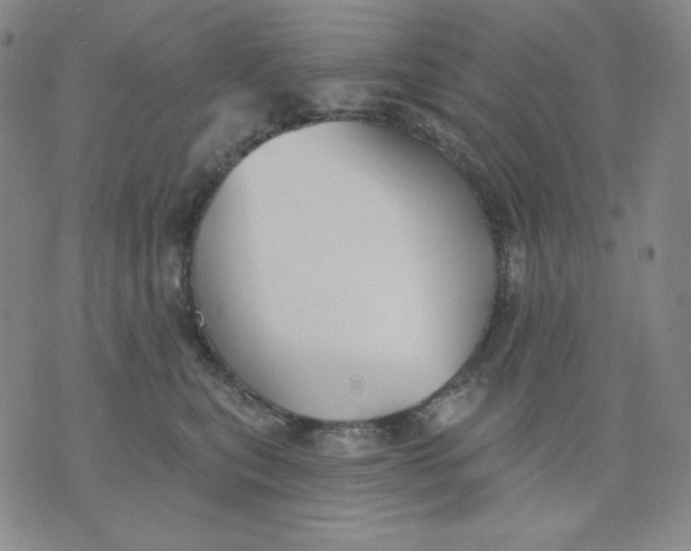 X0000076060567200610152205