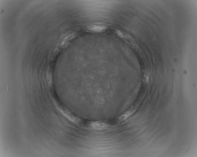 X0000076060568200610152205