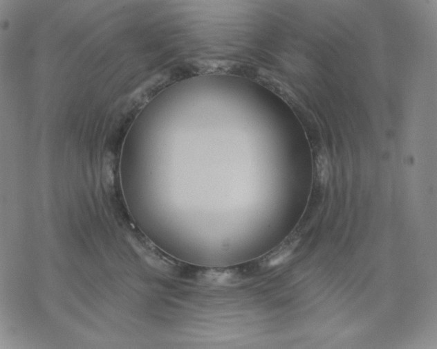 X0000076060570200610152205