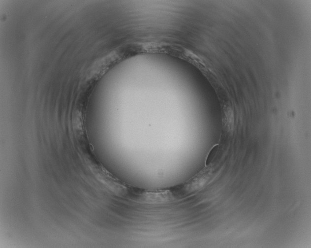 X0000076060571200610152205