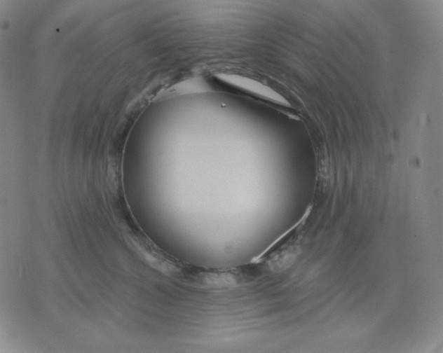 X0000076060572200610152205