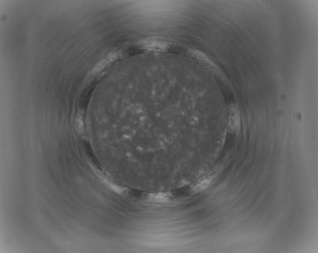 X0000076060573200610152205