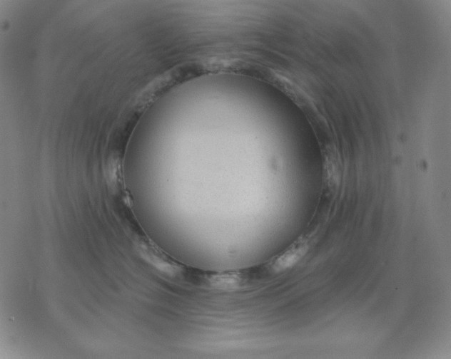 X0000076060574200610152205