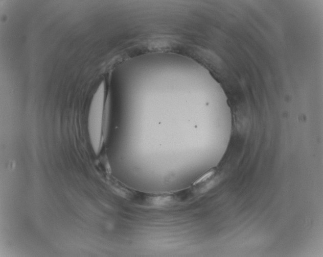 X0000076060575200610152205