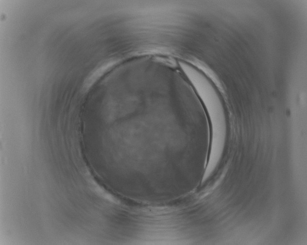 X0000076060577200610152205