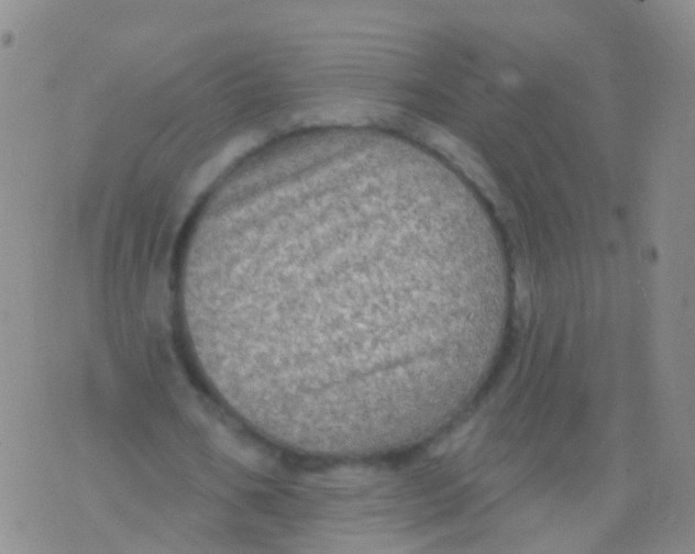 X0000076060578200610152205