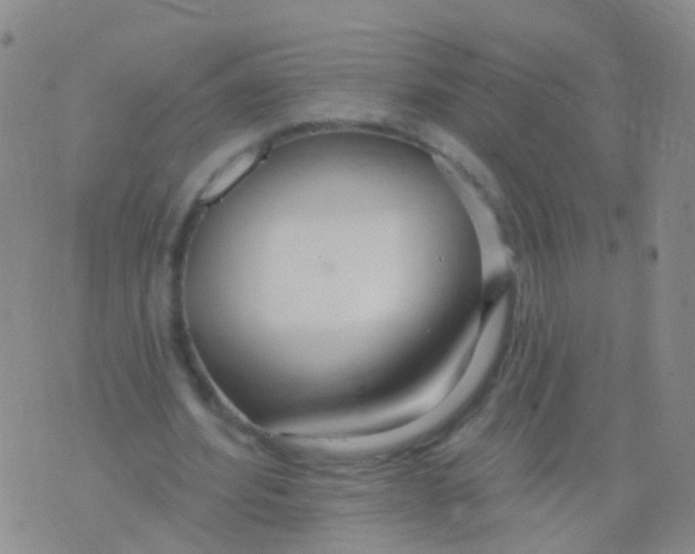 X0000076060580200610152205