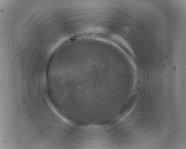 X0000076060581200610152205