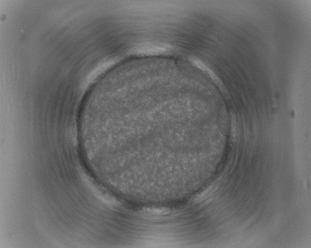 X0000076060582200610152204