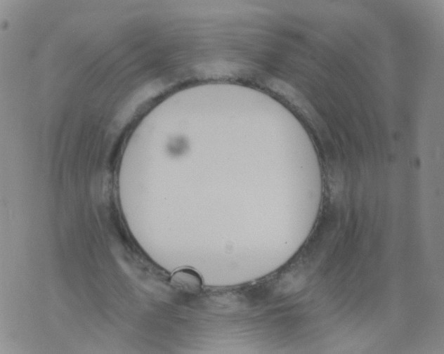 X0000076060583200610152204