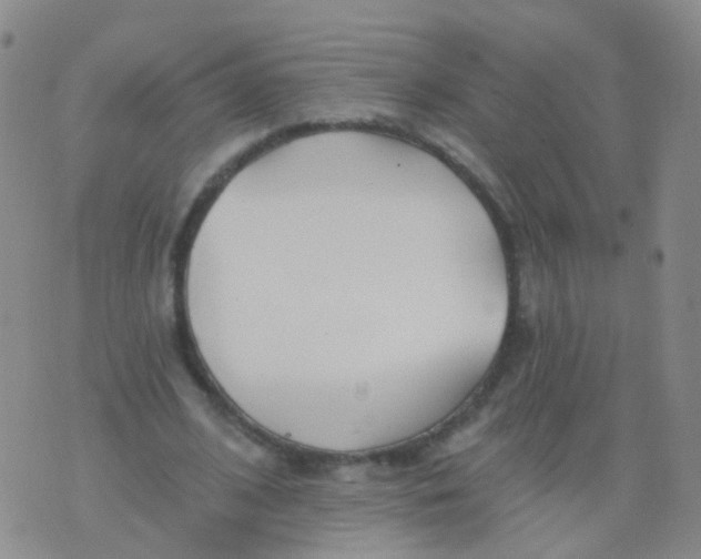 X0000076060584200610152204