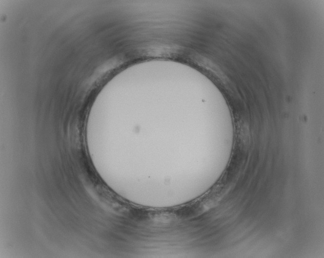 X0000076060587200610152204