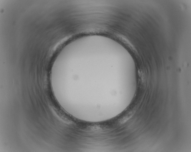 X0000076060588200610152204