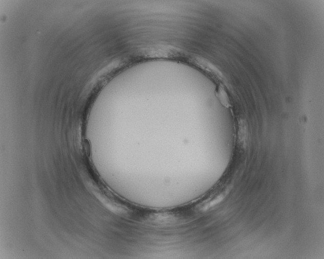 X0000076060589200610152204