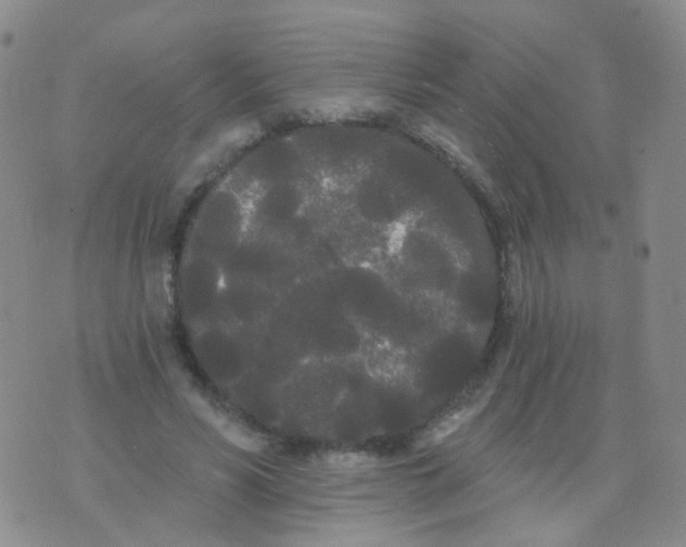 X0000076060590200610152204