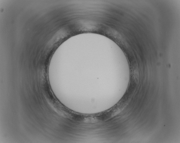 X0000076060591200610152204