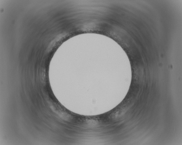 X0000076060592200610152204