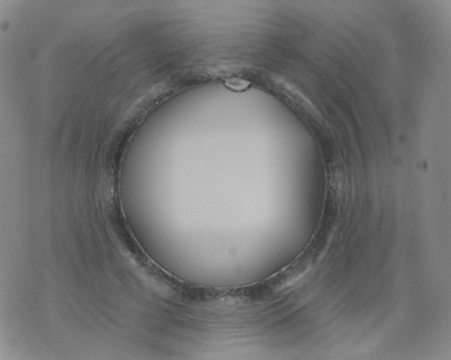 X0000076060593200610152204