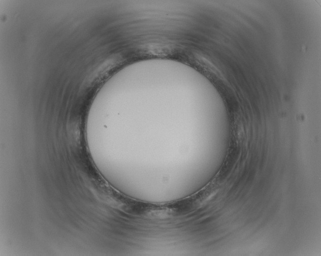 X0000076060595200610152204