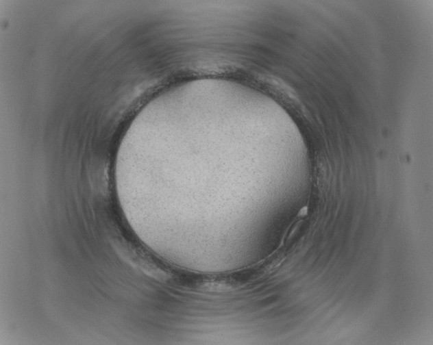 X0000076060596200610152204