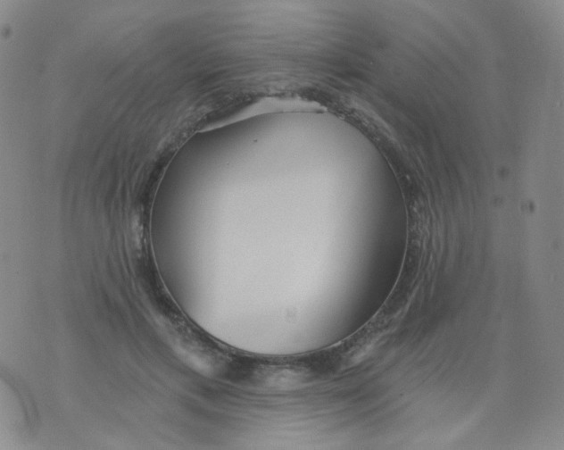 X0000076060597200610152204