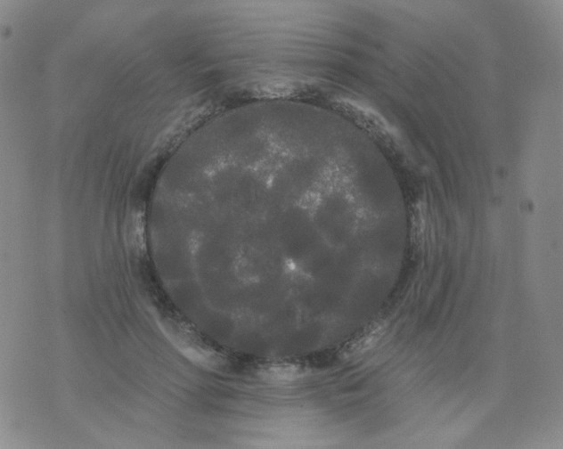 X0000076060598200610152204