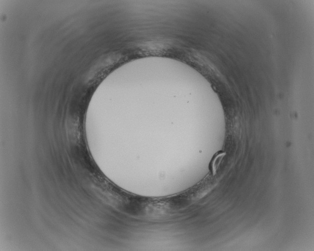 X0000076060599200610152204