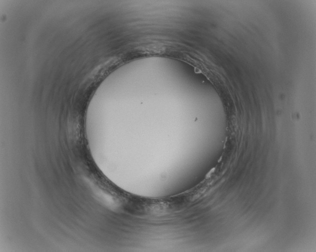 X0000076060600200610152204