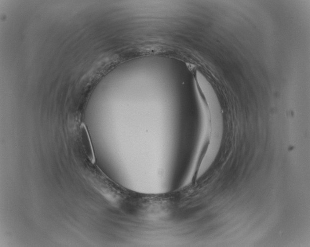 X0000076060601200610152204