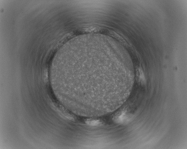 X0000076060602200610152204