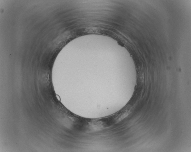 X0000076060603200610152204