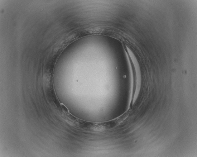 X0000076060604200610152204