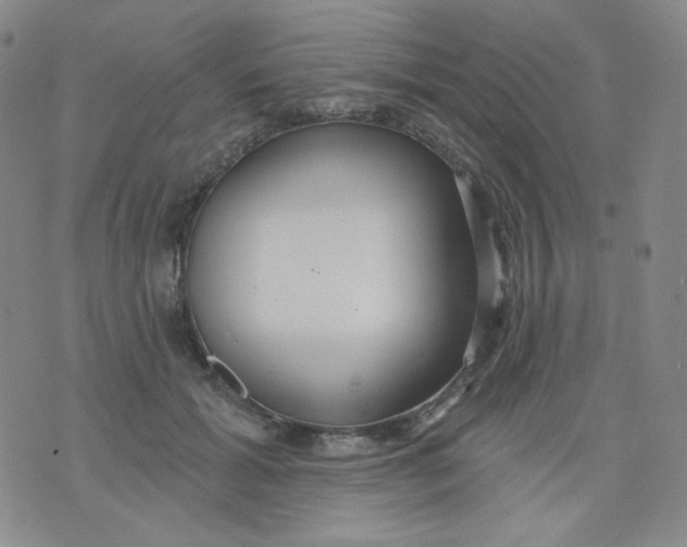 X0000076060605200610152204