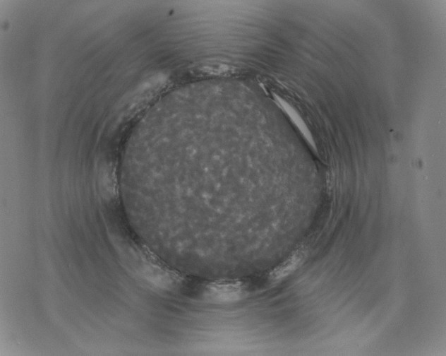 X0000076060606200610152204